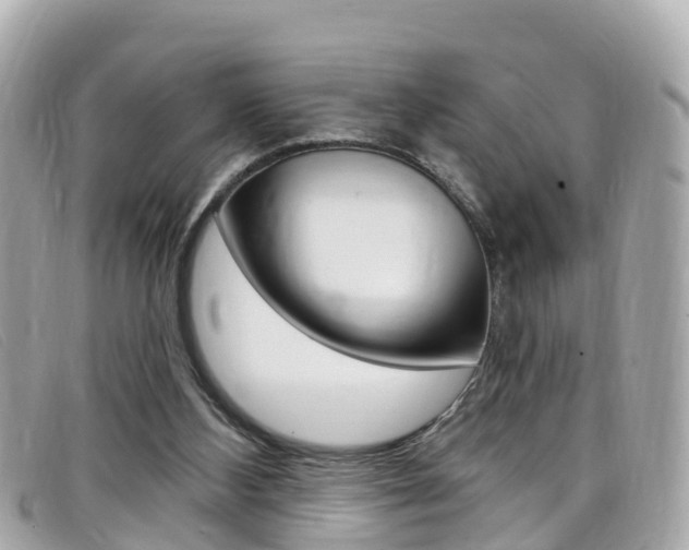 X0000099320108200805020801