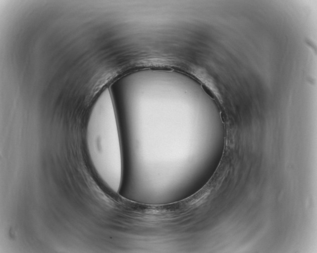 X0000099320109200805020801