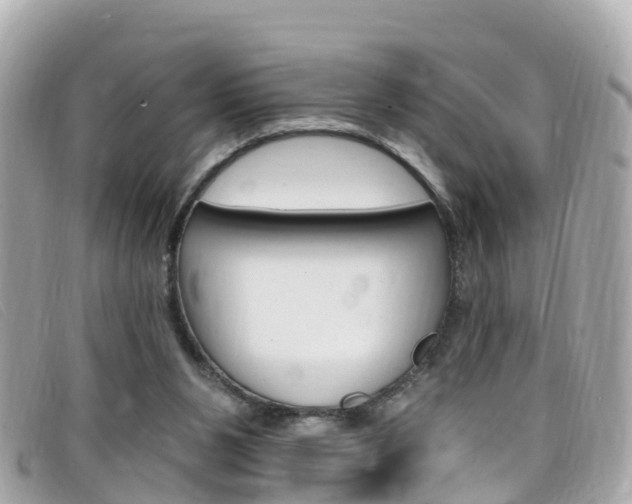 X0000099320111200805020801