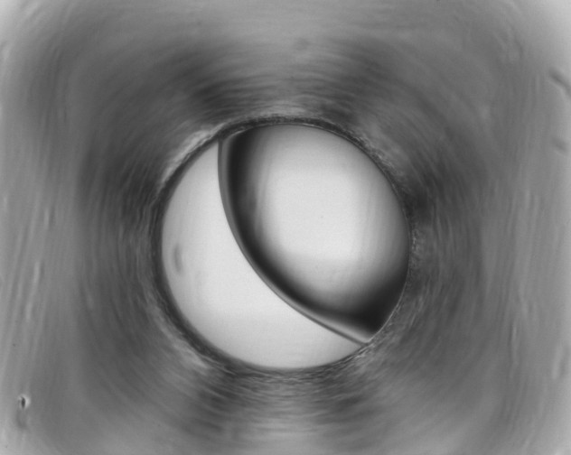 X0000099320112200805020801