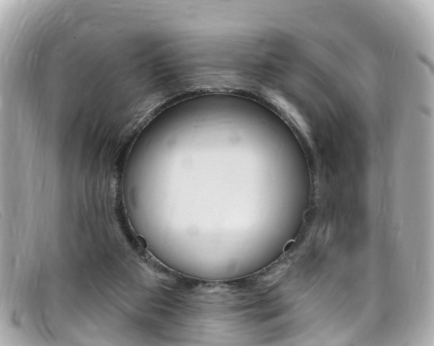 X0000099320113200805020801