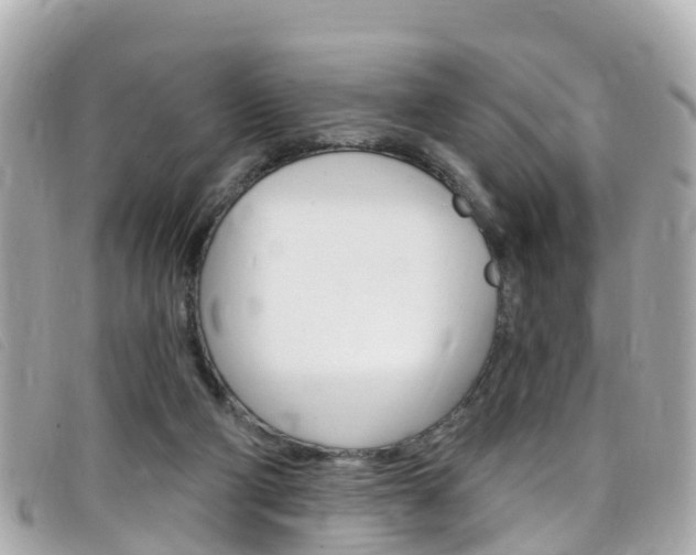 X0000099320114200805020801