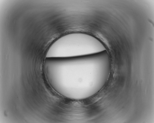 X0000099320115200805020801