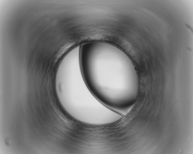 X0000099320116200805020801