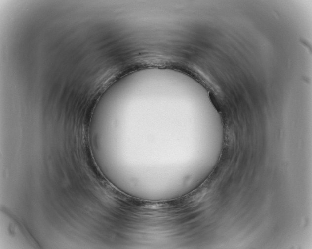 X0000099320117200805020801