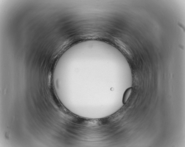 X0000099320118200805020801