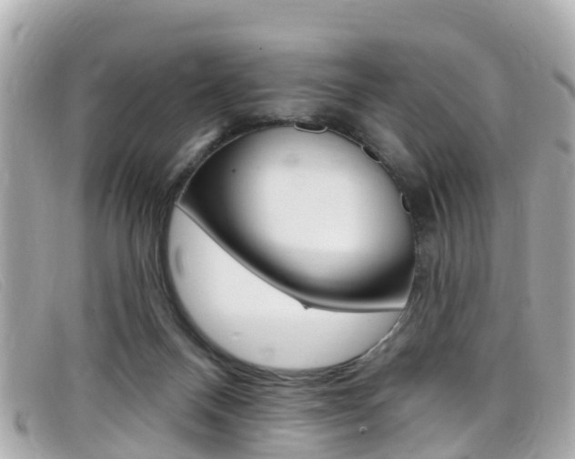 X0000099320120200805020801