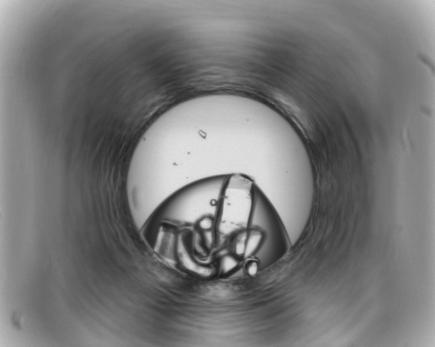 X0000099320121200805020801