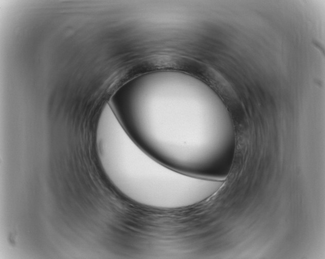 X0000099320124200805020801
