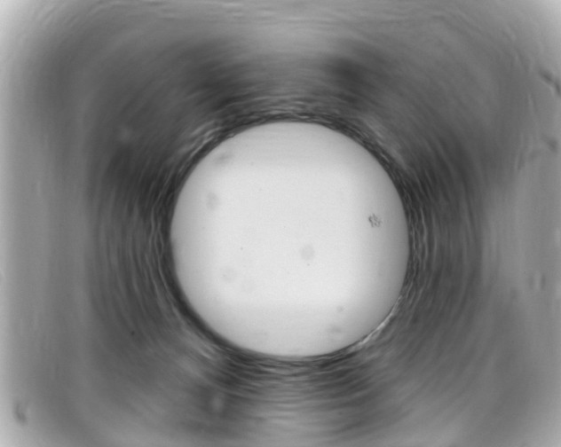 X0000099320128200805020801