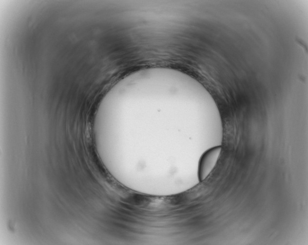 X0000099320130200805020801