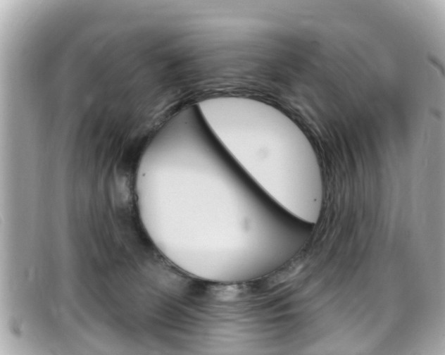 X0000099320131200805020801