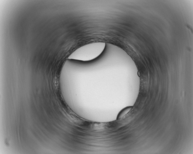 X0000099320134200805020801