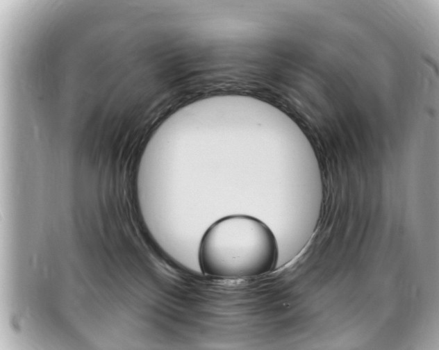 X0000099320136200805020801