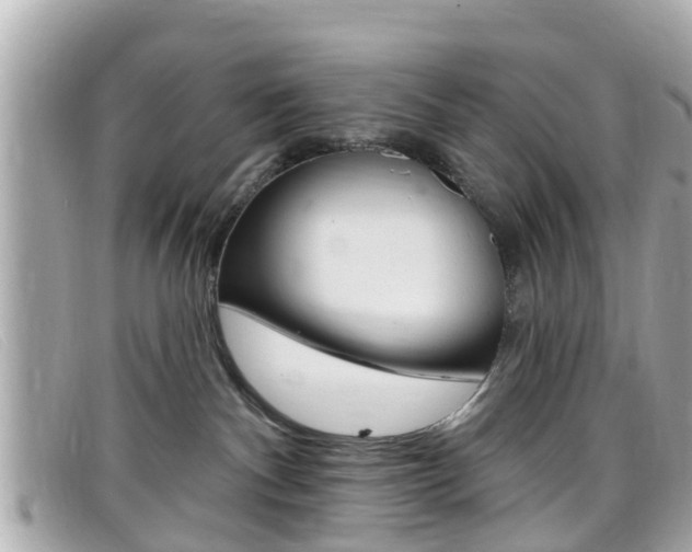 X0000099320140200805020801