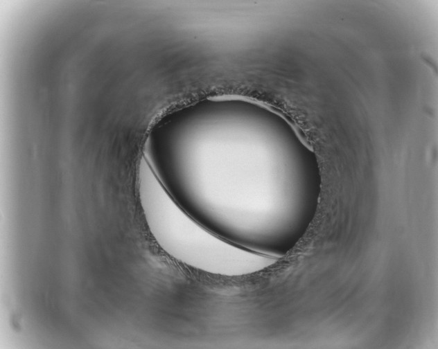 X0000099320144200805020801