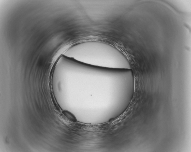 X0000099320147200805020800
