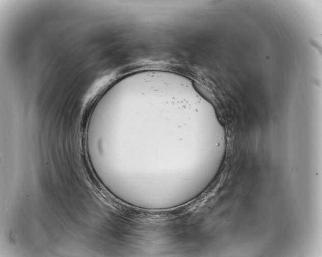 X0000099320149200805020800