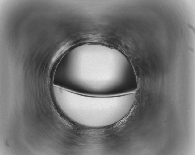X0000099320150200805020800