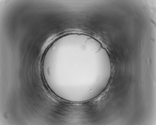 X0000099320151200805020800