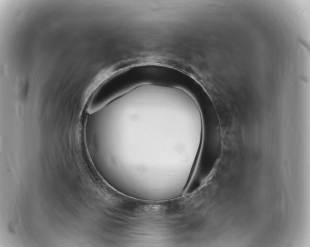 X0000099320152200805020800