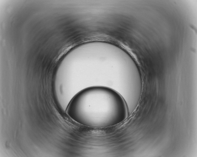 X0000099320154200805020800