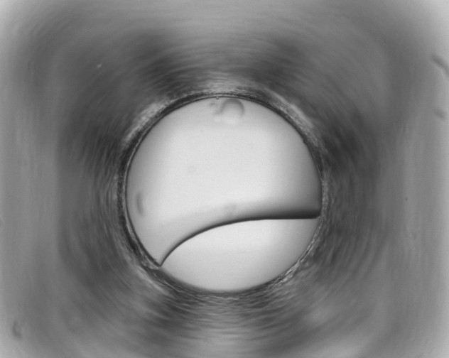 X0000099320155200805020800