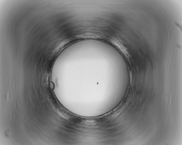 X0000099320157200805020800