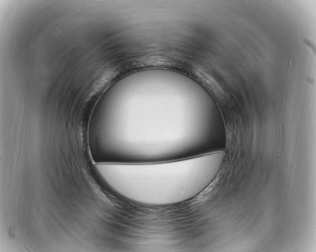 X0000099320158200805020800