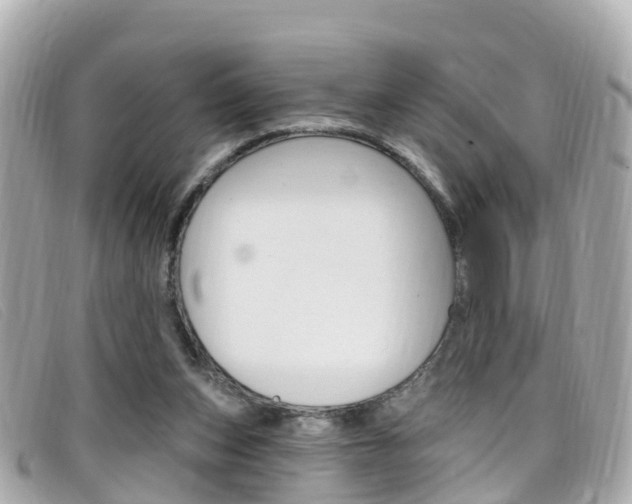 X0000099320159200805020800