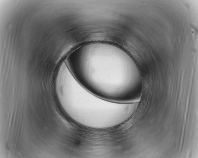 X0000099320160200805020800