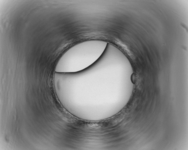 X0000099320161200805020800