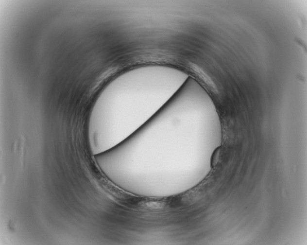 X0000099320163200805020801