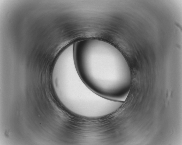 X0000099320164200805020801