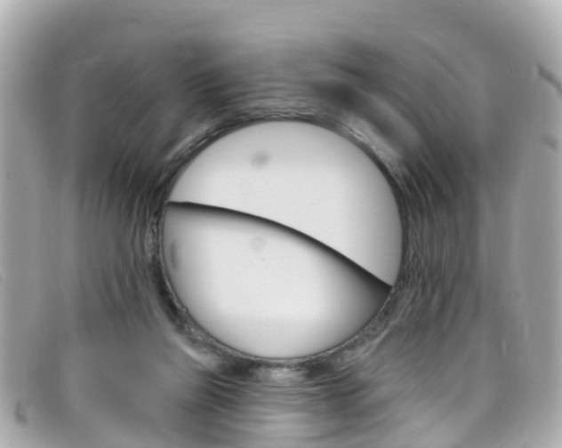 X0000099320165200805020801