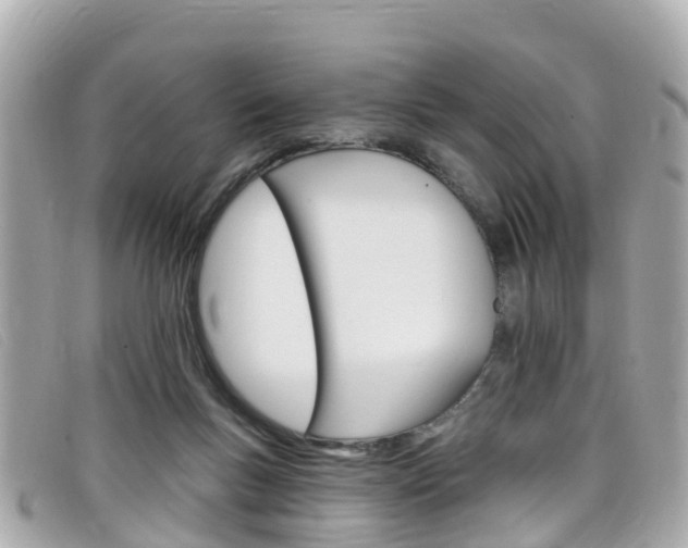 X0000099320167200805020801