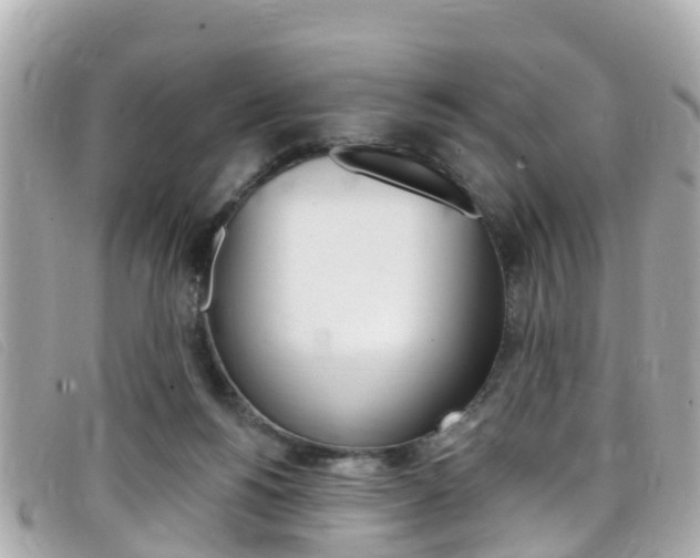 X0000099320168200805020801