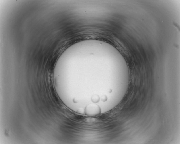 X0000099320169200805020801