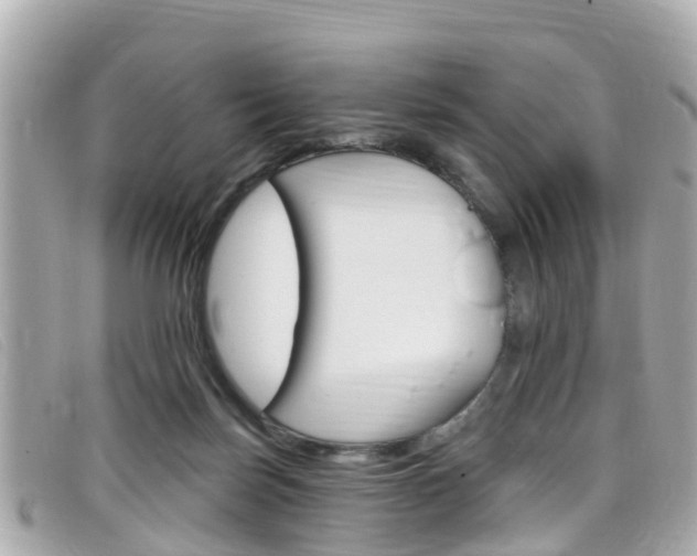 X0000099320171200805020801