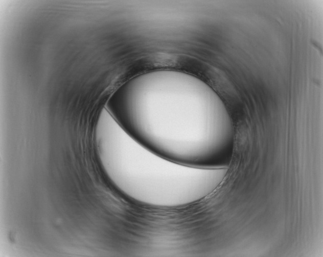 X0000099320172200805020801