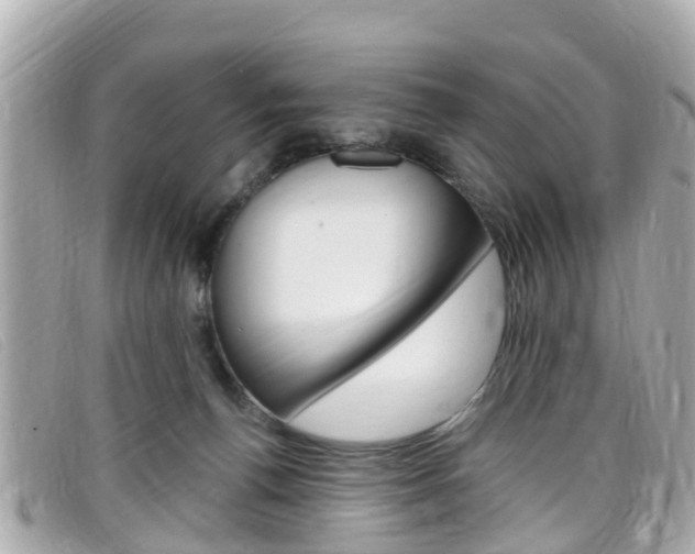 X0000099320176200805020801