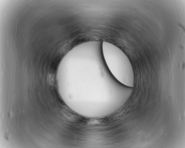 X0000099320177200805020801