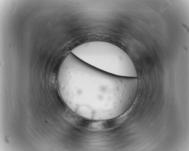 X0000099320178200805020801