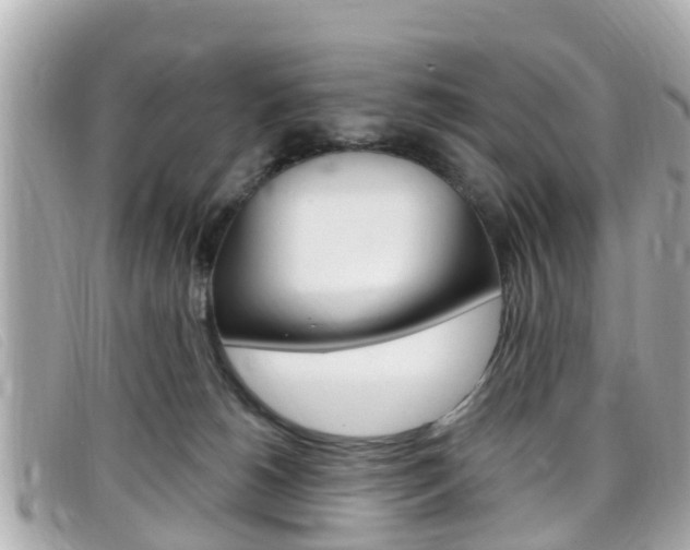 X0000099320180200805020801