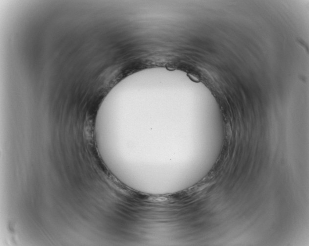X0000099320181200805020801
