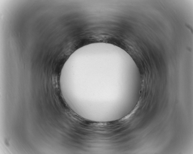 X0000099320182200805020801