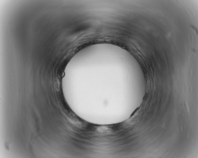 X0000099320183200805020801