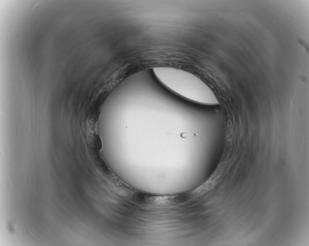 X0000099320184200805020801