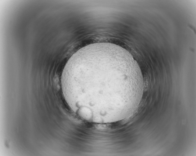 X0000099320187200805020801