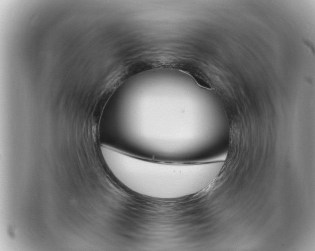 X0000099320188200805020801